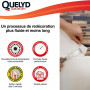 Décolleur papiers peints Dissoucol 250ml QUELYD