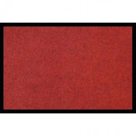 Tapis