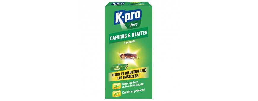 Insecticide