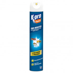 Aérosol Tous insectes 500ml K.PRO Expert Aérosol Tous insectes 500ml K.PRO Expert