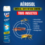 Aérosol Tous insectes 500ml K.PRO Expert