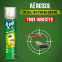 Aérosol Tous Insectes à base de pyrèthre 300ml K.PRO Vert