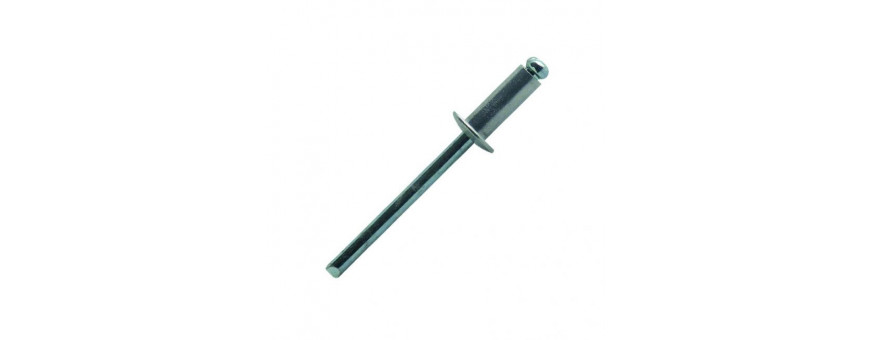 Riveter Sertir