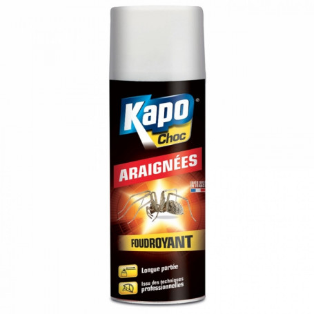 Aérosol Foudroyant Spécial Araignées 400ml KAPO Choc