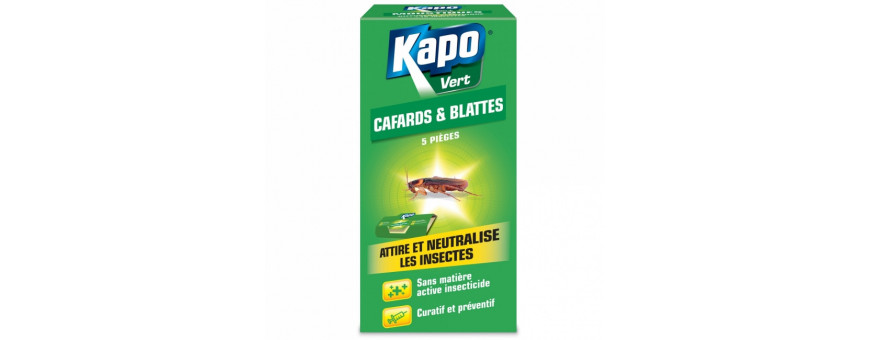 Insecticide