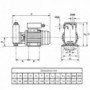 Pompe gasoil auto-amorçante 800W