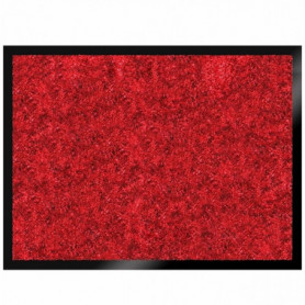 Tapis Anti Poussière