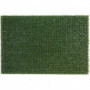 Tapis grattoir gazon vert Astro Classic 40x60 cm