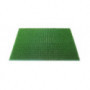 Tapis grattoir gazon Gazongrat vert 40x60 cm