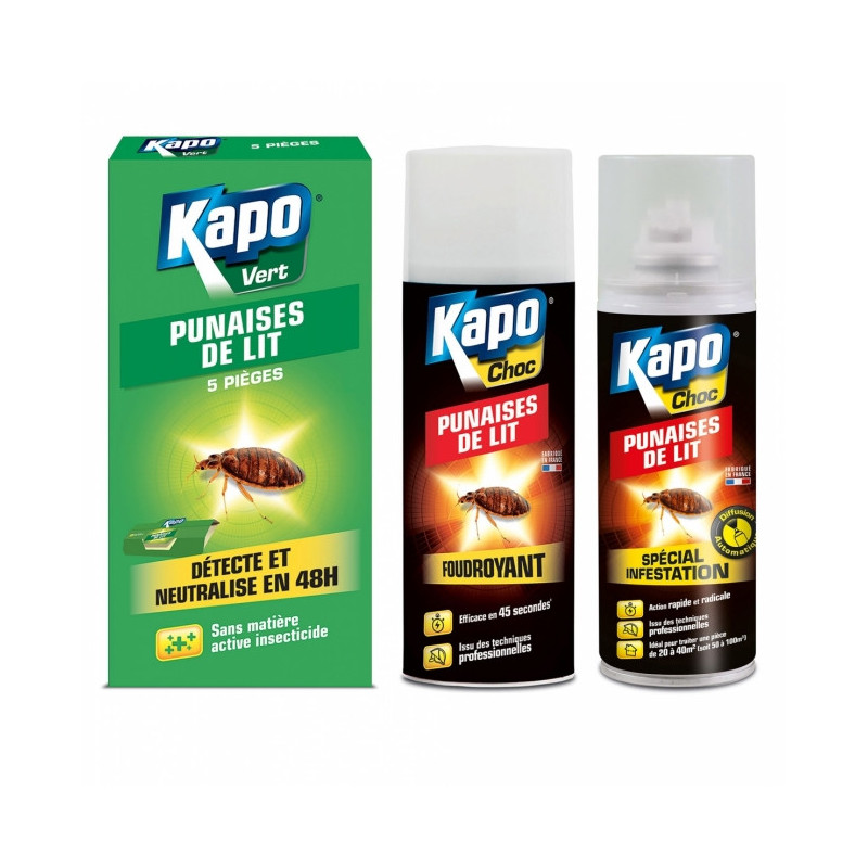 Aérosol anti-punaises de lit à diffusion continue (200 ml) - KAPO -  Monvoisin