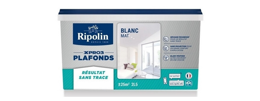 Peintures Intérieures
