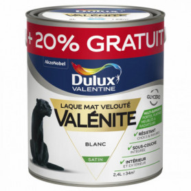 Peintures Intérieures