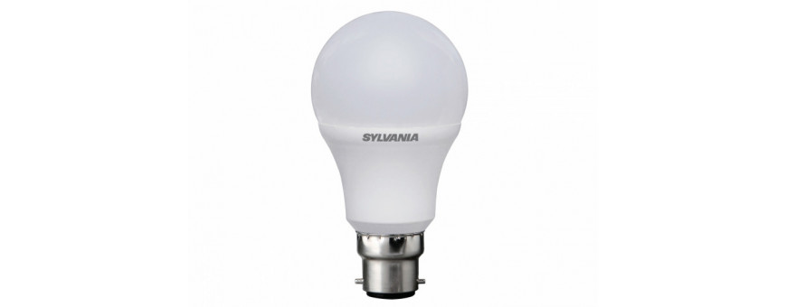 Ampoules LED