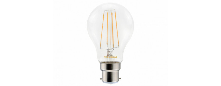 Ampoules LED