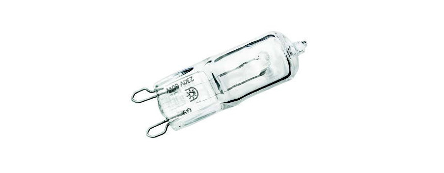 Ampoules LED