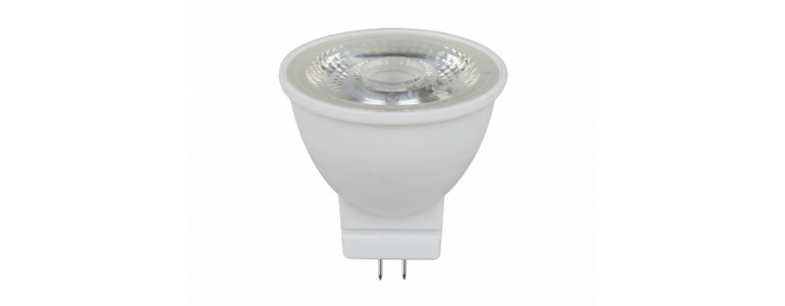 Ampoules LED