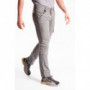 Pantalon de travail coupe charpentier gris CARP RICA LEWIS