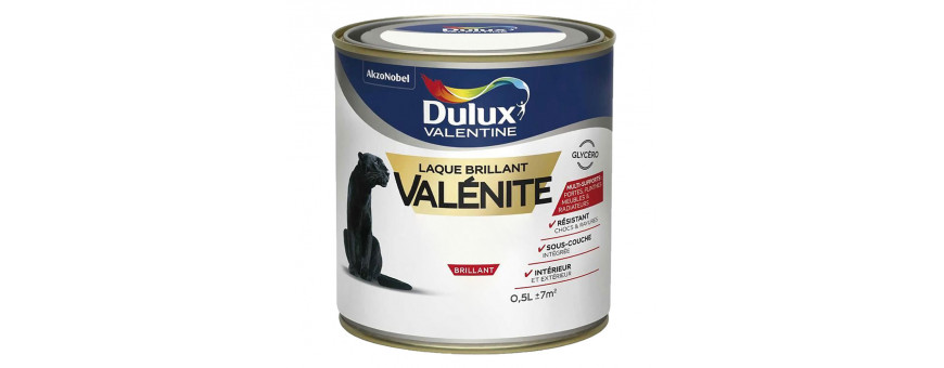 Peintures Intérieures