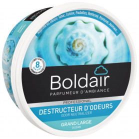 Désodorisants, Parfums