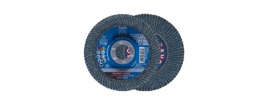 Disque à lamelles