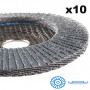 Assortiment de 10 Disques à lamelles inclinées Zirconium Ø125mm - Grain 40/60/80 - RB 48024 YX HERMES