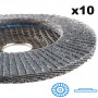 Assortiment de 10 Disques à lamelles plates Zirconium Ø125mm - Grain 40/60/80 - RB 48024 YX HERMES