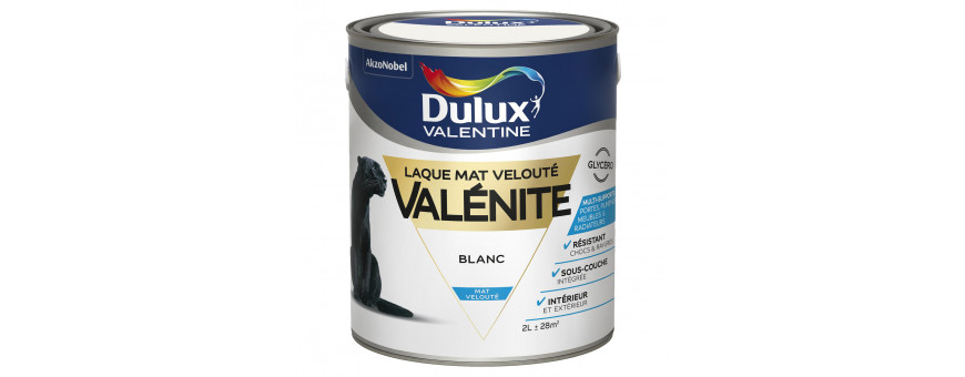 Peintures Intérieures
