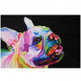 Tapis absorbant Dallas décor Bulldog 40x60cm