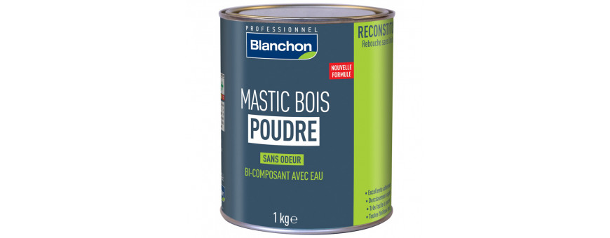 Mastics et Résines de Réparation