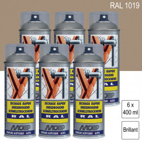 Lot de 6 Peintures aérosol RAL 1019 Beige gris brillant 400ml MOTIP Lot de 6 Peintures aérosol RAL 1019 Beige gris brillant 400ml MOTIP