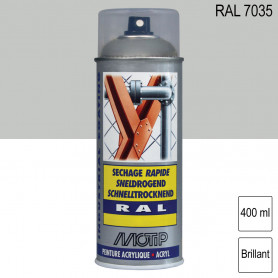 Peintures Aérosol / Bombes de Peinture