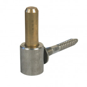 Gond à visser inox et axe laiton AFBAT Gond à visser inox et axe laiton AFBAT