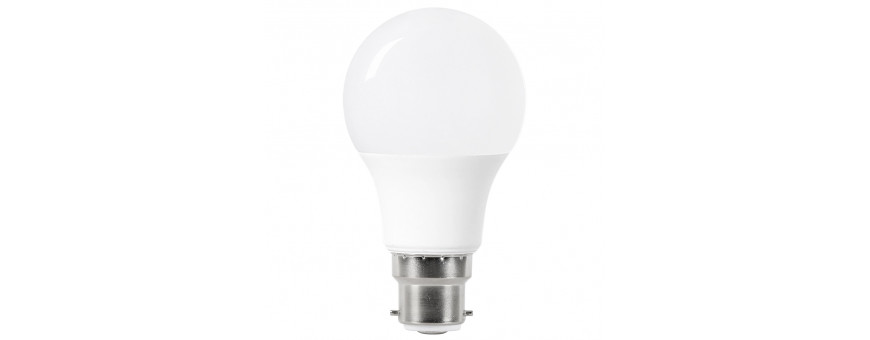 Ampoules LED