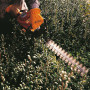 Taille-haie thermique HS 45 27,2cm³ 750W 60cm STIHL